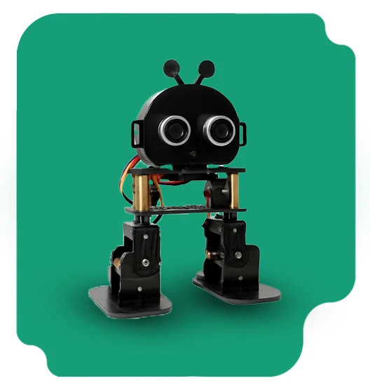 Walking Robot Kit